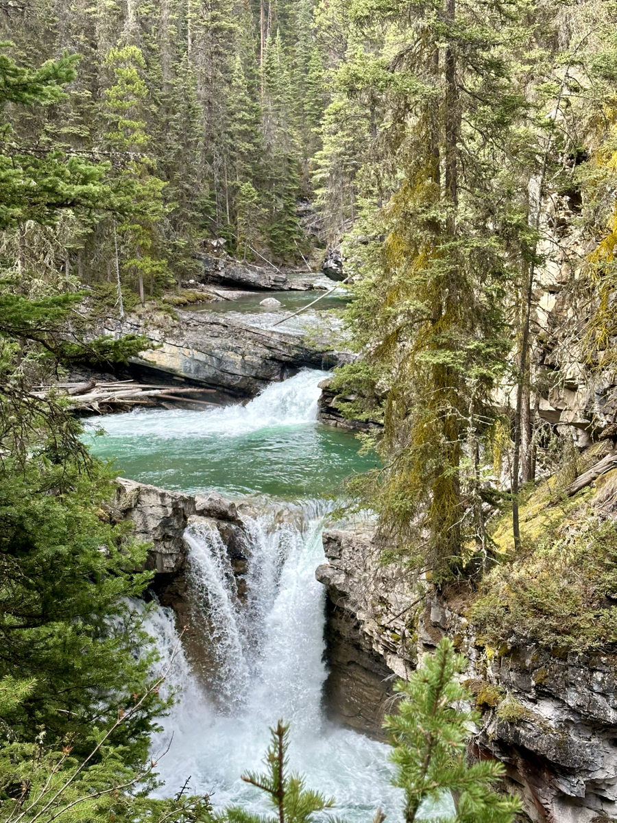 Johnston Canyon View