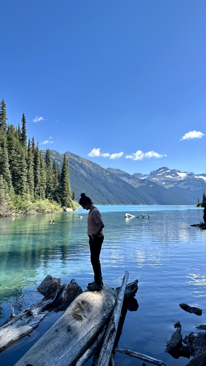 Garibaldi Lake View