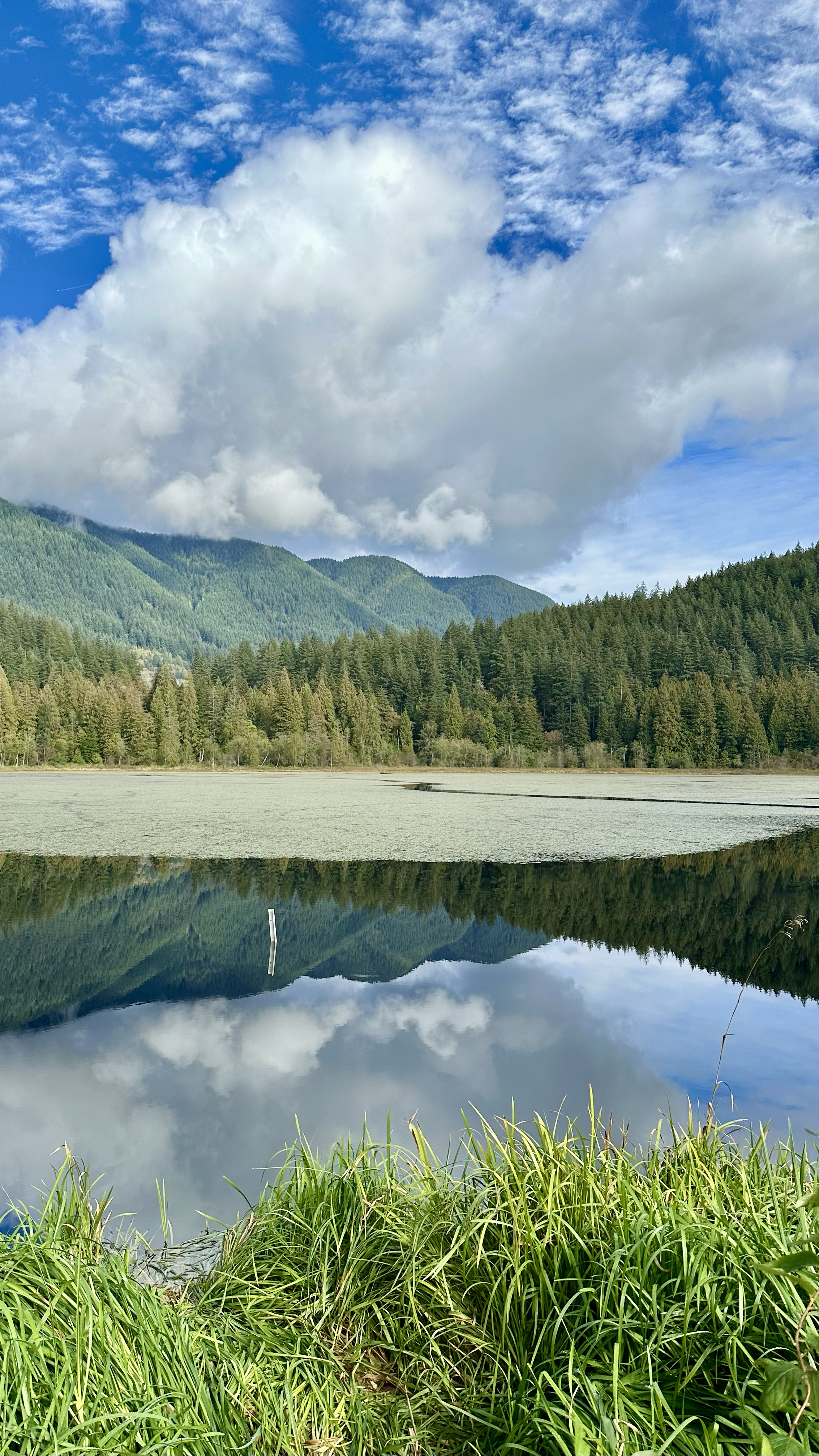 Minnekhada Vertical Frame