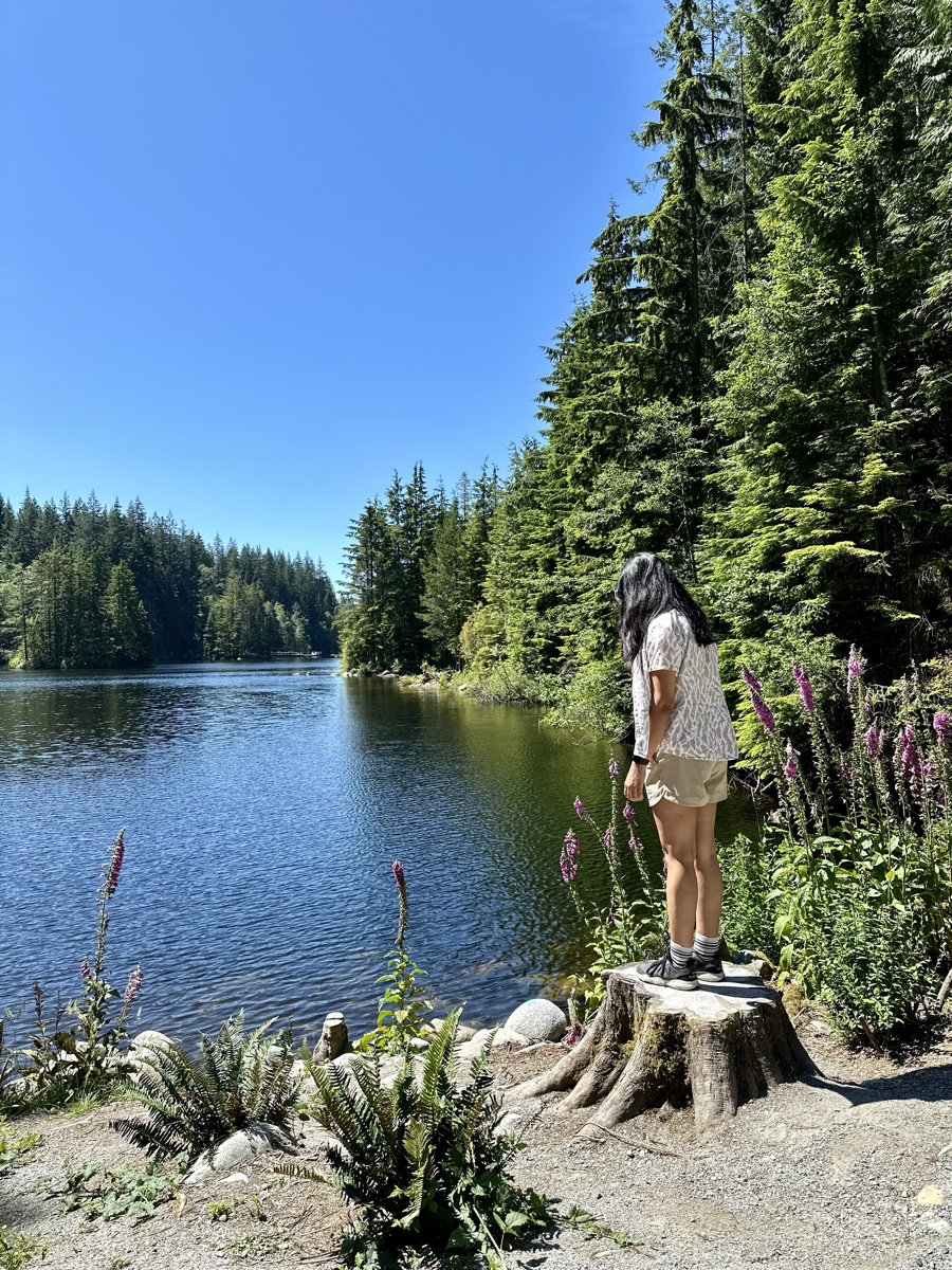 Rice Lake View