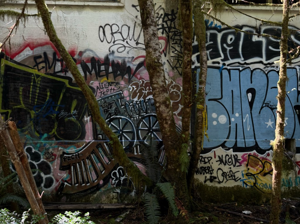 Hike Photo
