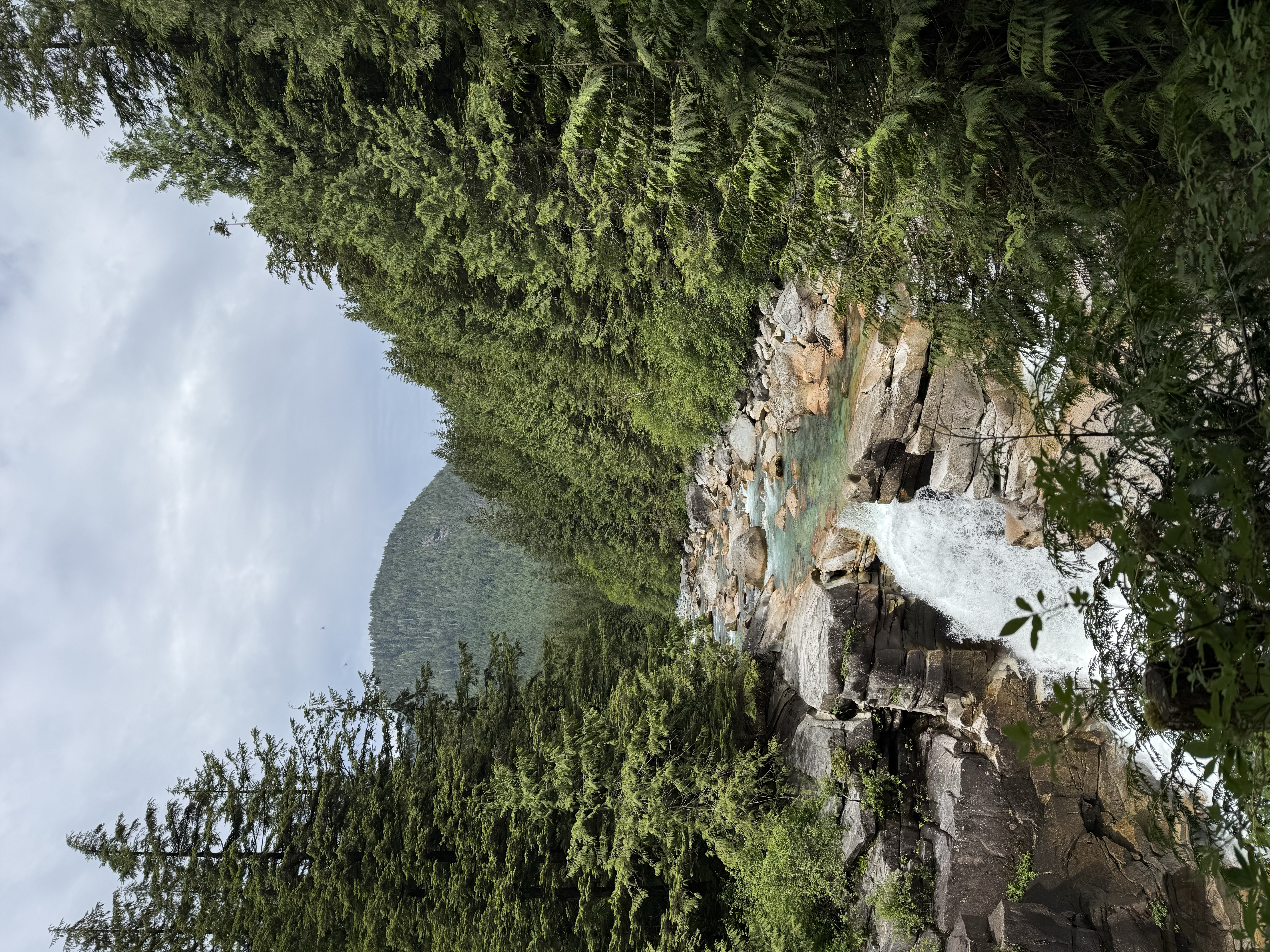 Upper Gold Creek View