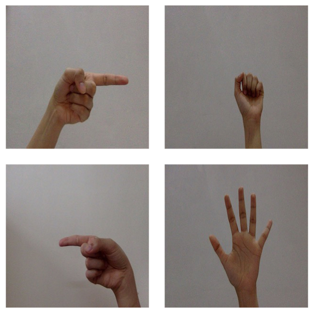 Control of Computer Pointer Using Hand Gesture Recognition in Motion Picture